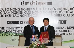 Việt Nam và Australia hợp tác trong nghiên cứu nông nghiệp 